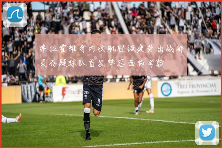 弗拉霍维奇内收肌轻微疲劳出战都灵存疑球队首发阵容面临考验