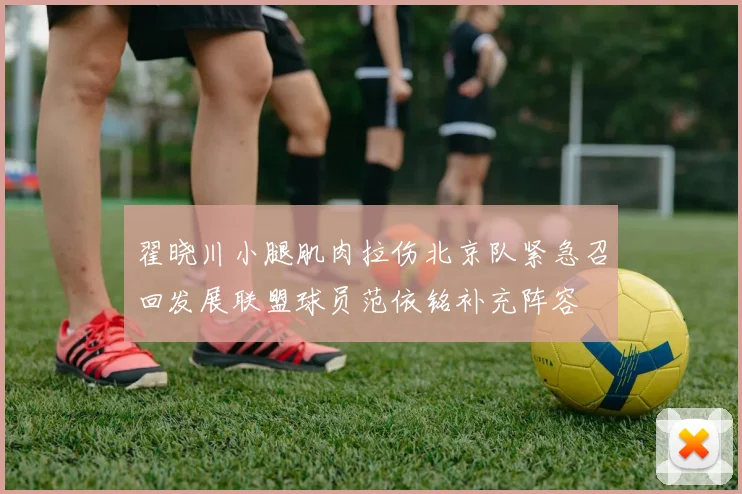 翟晓川小腿肌肉拉伤北京队紧急召回发展联盟球员范依铭补充阵容